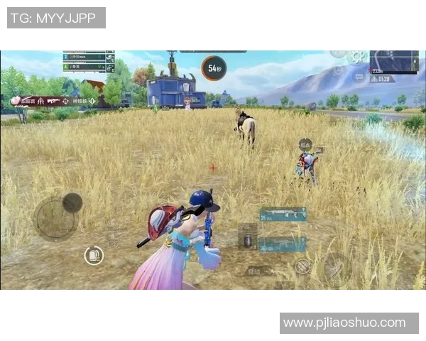 电竞实时数据专家吴静揭秘和平精英成功背后的策略与经验