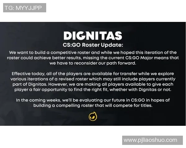 WE战队在CSGO赛场的耐力之路与成长历程深度解析