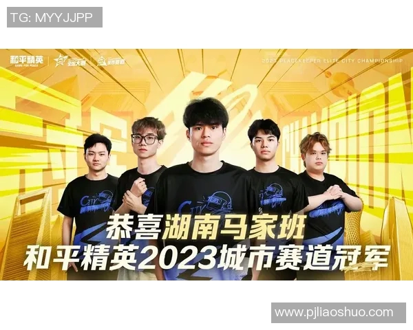 2026电竞新闻和平精英焦点BLG团队技术分析与战术探讨的深度研究